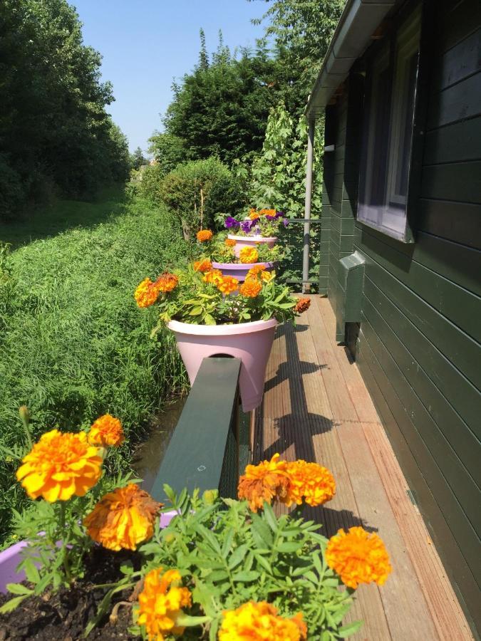 Gardenhouse Mariposa Villa Badhoevedorp Dış mekan fotoğraf